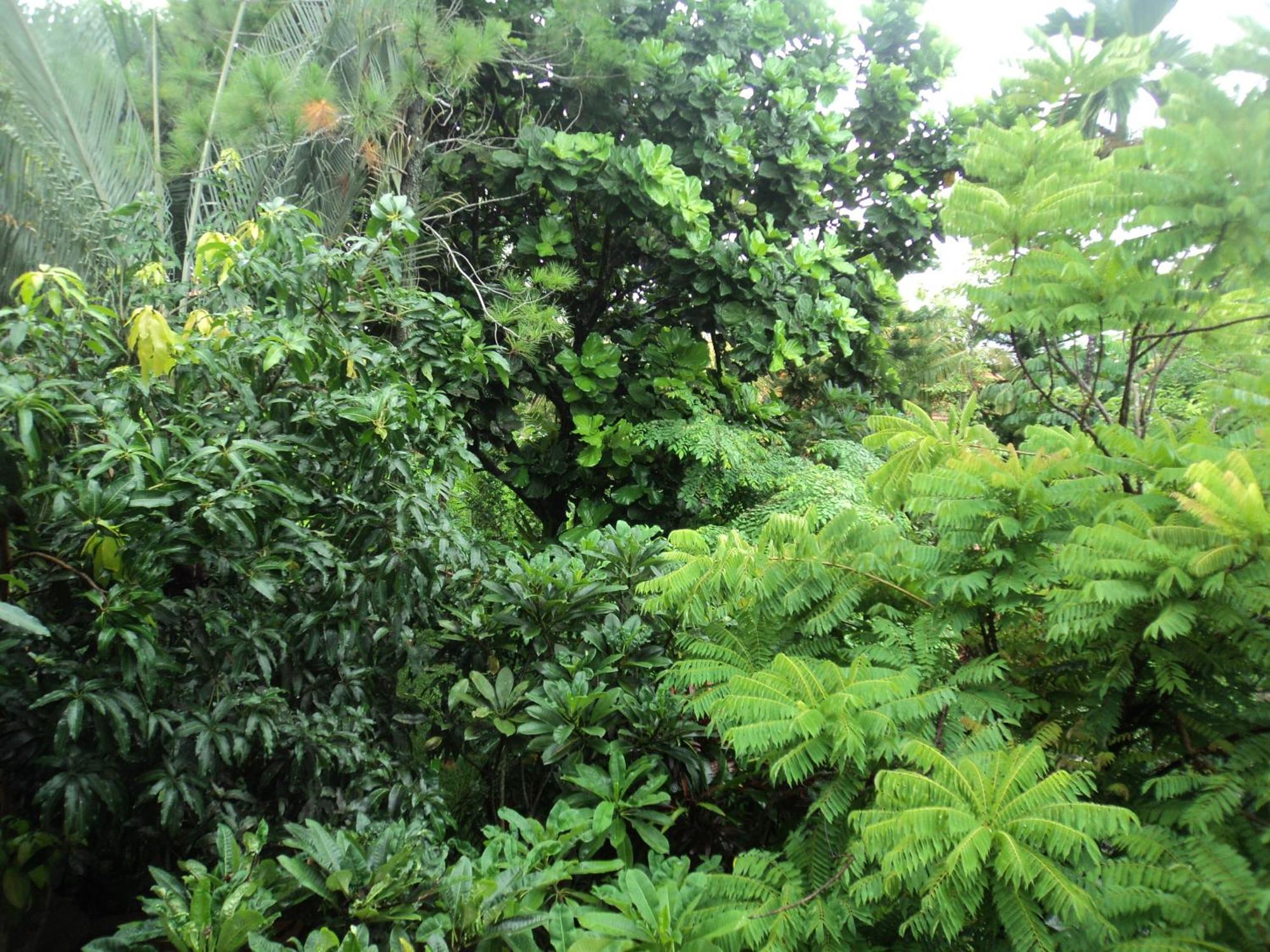 Gasthuis Bhuana Alit Ubud
